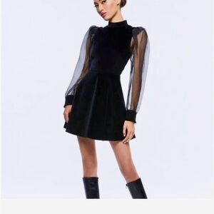 Alice + Olivia Black Dress with Sheer Sleeves